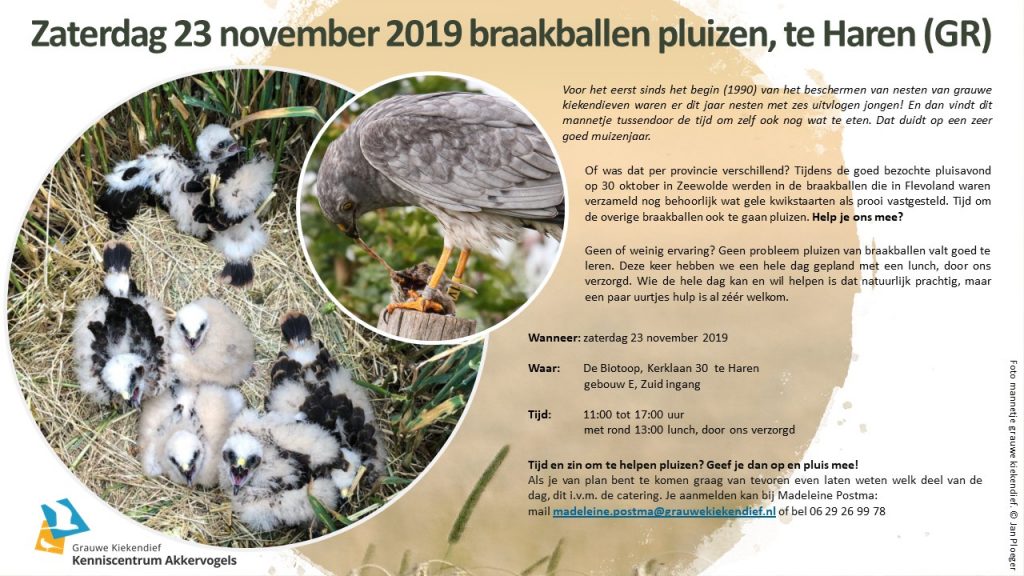 Uitnodiging braakballen pluizen Haren (GR) zayerdag 23 november 2019.